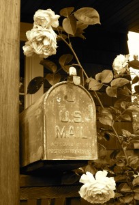 Mailbox and roses